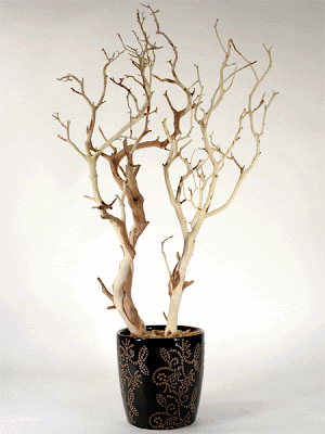 Below are the manzanita branches we set in plaster earlier on in the post Below are the manzanita branches we set in plaster earlier on in the post