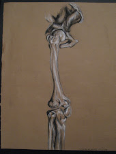 Leg of Skeleton Model