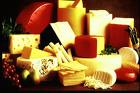 [cheese.jpeg]
