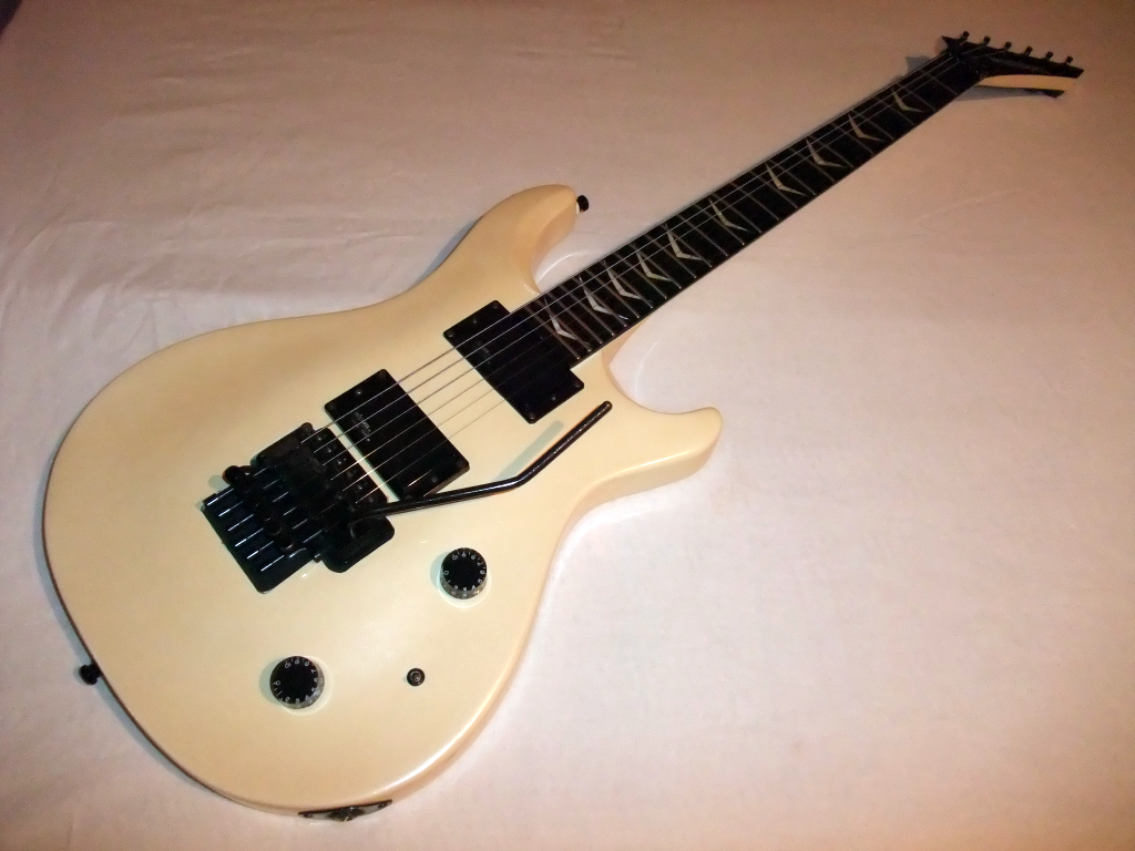 So many guitars, so little talent Washburn 9 'RS8V' white