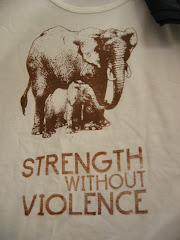 Strength Without Violence