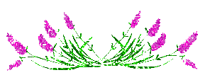 [i247631043_56225_7.gif]