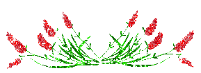 [i247631088_30666_7.gif]