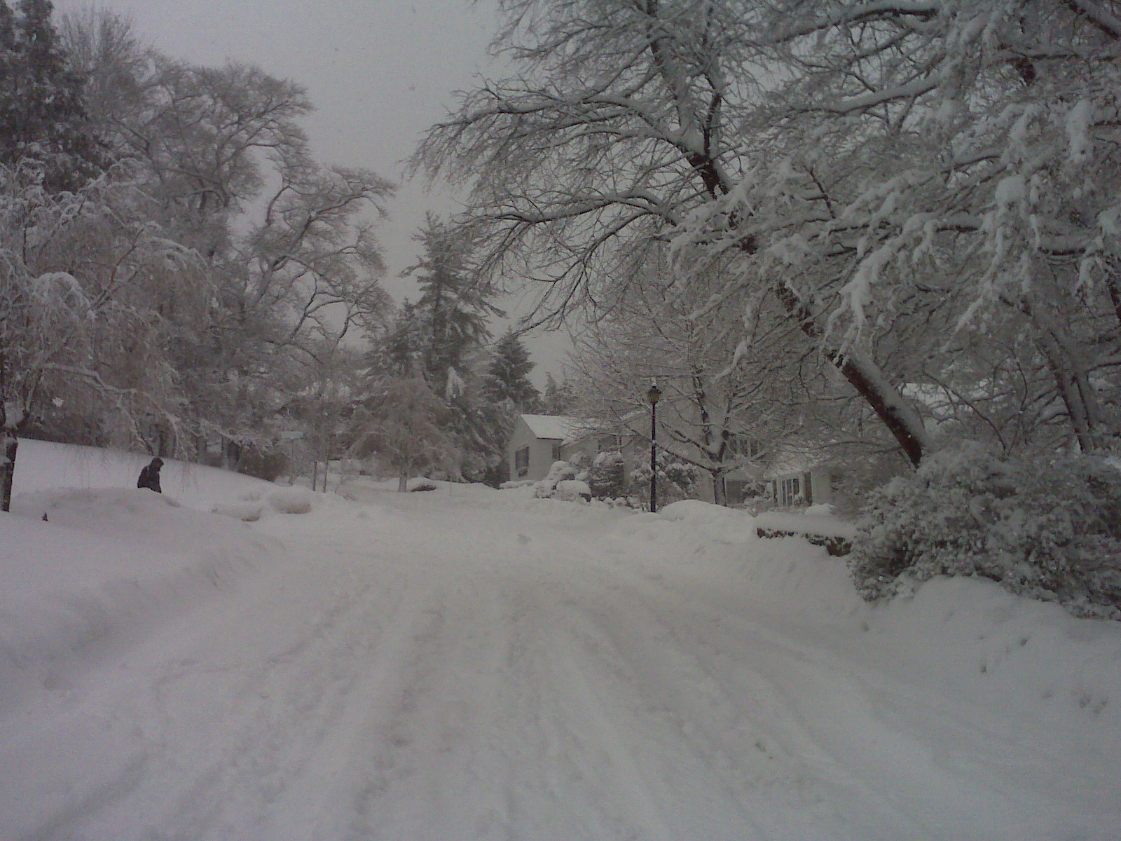 [Scarsdale+NY_02.26.10_.jpg]