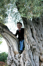 Look how I am growing-Joshua