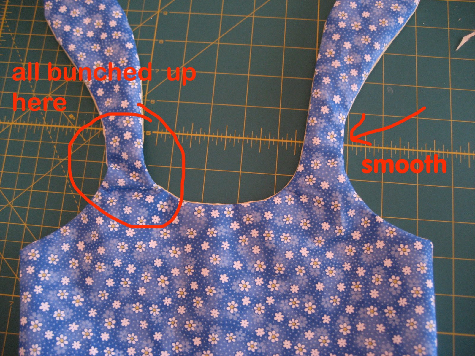 [bodice.jpg]