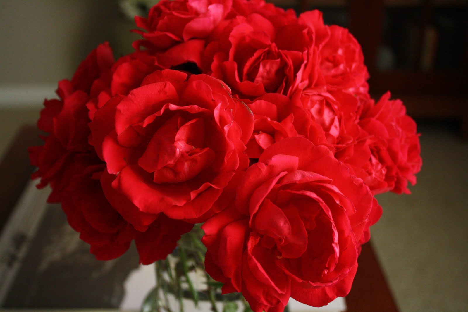 The Parsimonious Princess Just Add Water Homemade Rose Water