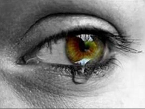 [olhos[1].jpg]