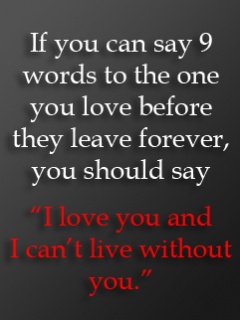 "I never felt true love until I was with you, And I never felt true sadness until you left me."