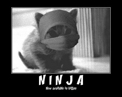 Samurai+killing+ninja