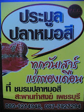 ประมูลปลาหมอสี