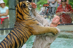 Tiger Attack!