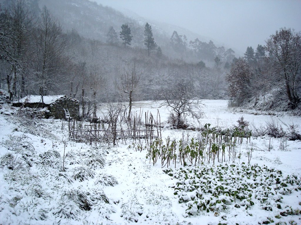 [DSC06915.JPG]