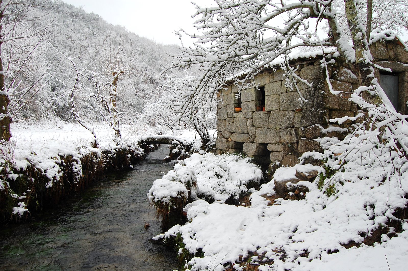 [DSC_0443.JPG]