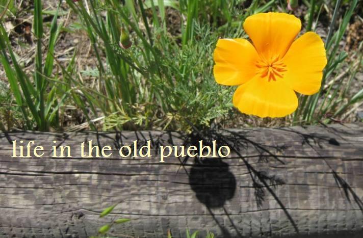 life in the old pueblo