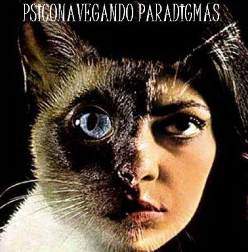 PSICONAVEGANDO PARADIGMAS