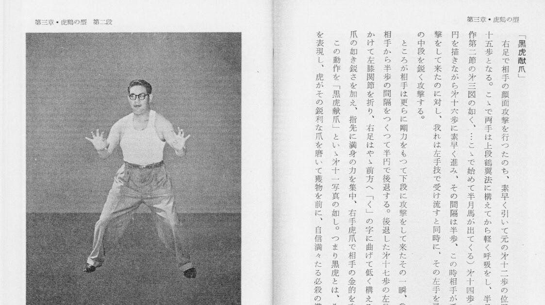 Kung Fu Galaxy 天下武林是一家 Crane Fists Tiger/Crane form.