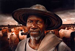 [El+Pastor-+Miguel+ParreÃ±o.jpg]