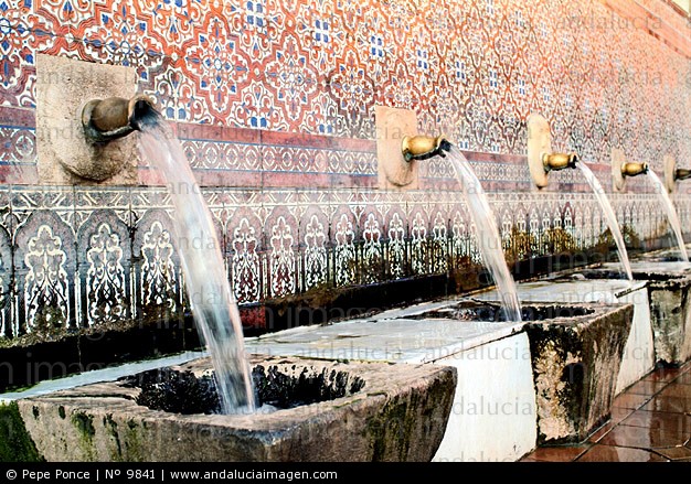 [Alcaucin-Provincia-de-Malaga_9841.jpg]