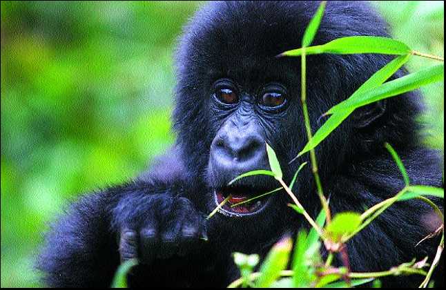 [2007-10-30_IMG_2007-10-23_00_00_00__78-DIB-23102007.jpg]