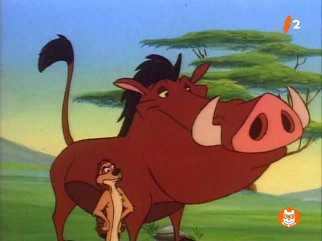 Timon Pumbaa