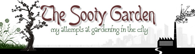 The Sooty Garden