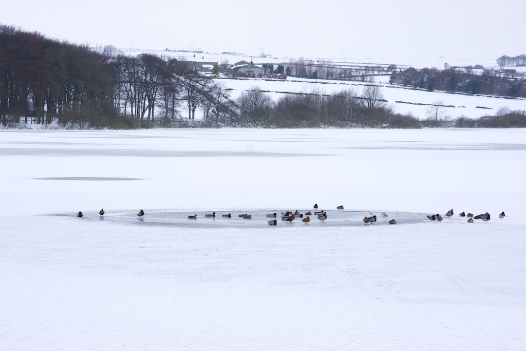 [IMG_7099+-+2010-01-10+at+10-21-16.jpg]