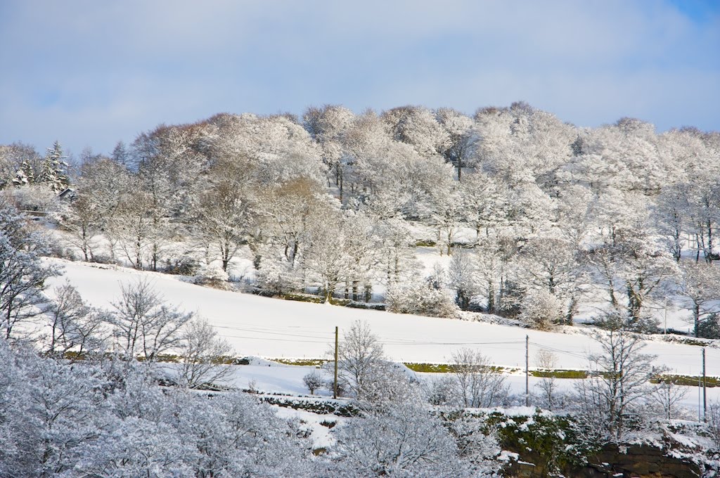 [IMG_6873+-+2010-01-06+at+14-05-39.jpg]