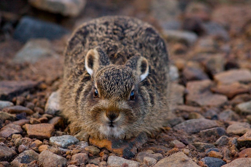 [CRW_144+2009-07-24.jpg]