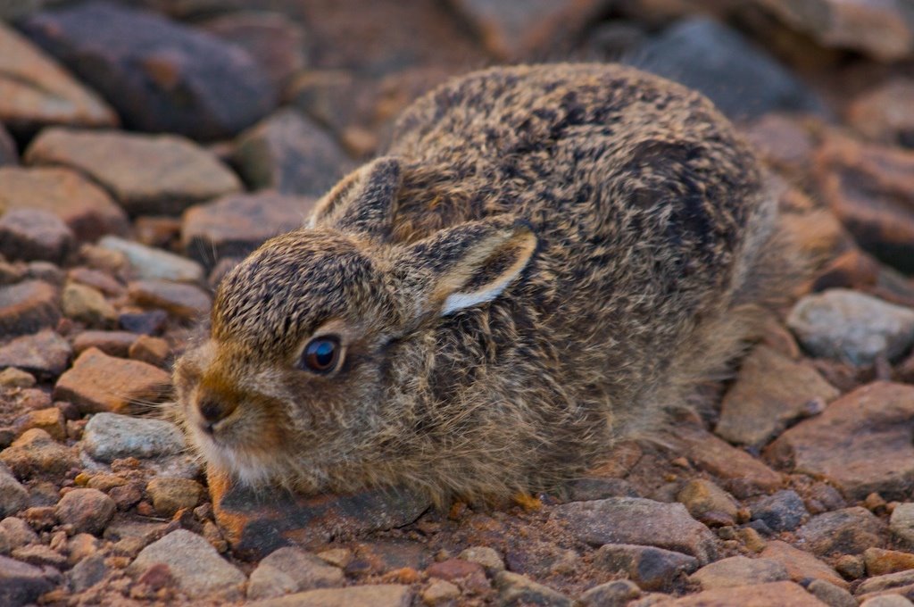 [CRW_152+2009-07-24.jpg]