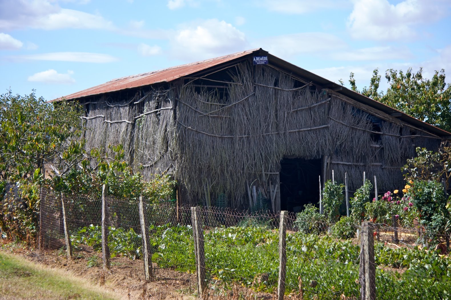 [IMG_0289+-+2009-08-26+at+11-31-38.jpg]