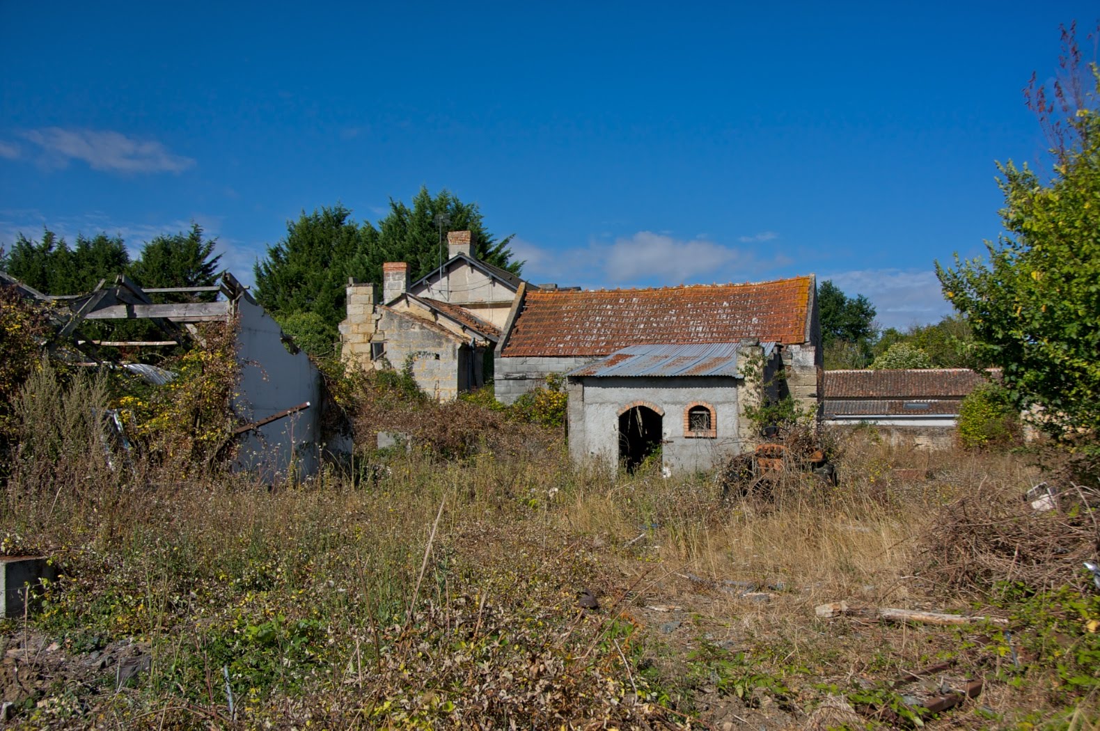 [IMG_0251+-+2009-08-26+at+10-12-07.jpg]