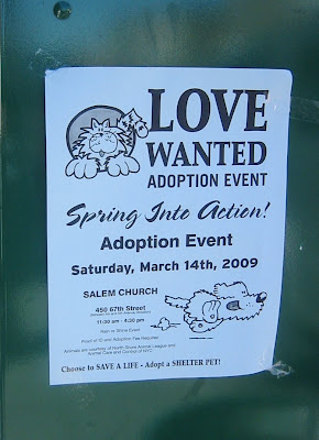 the Love Wanted Adopt