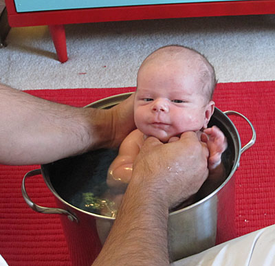 [nolan-web-15days-3.jpg]