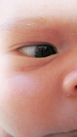 [web-nolan-19days3.jpg]