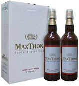 Maxthone