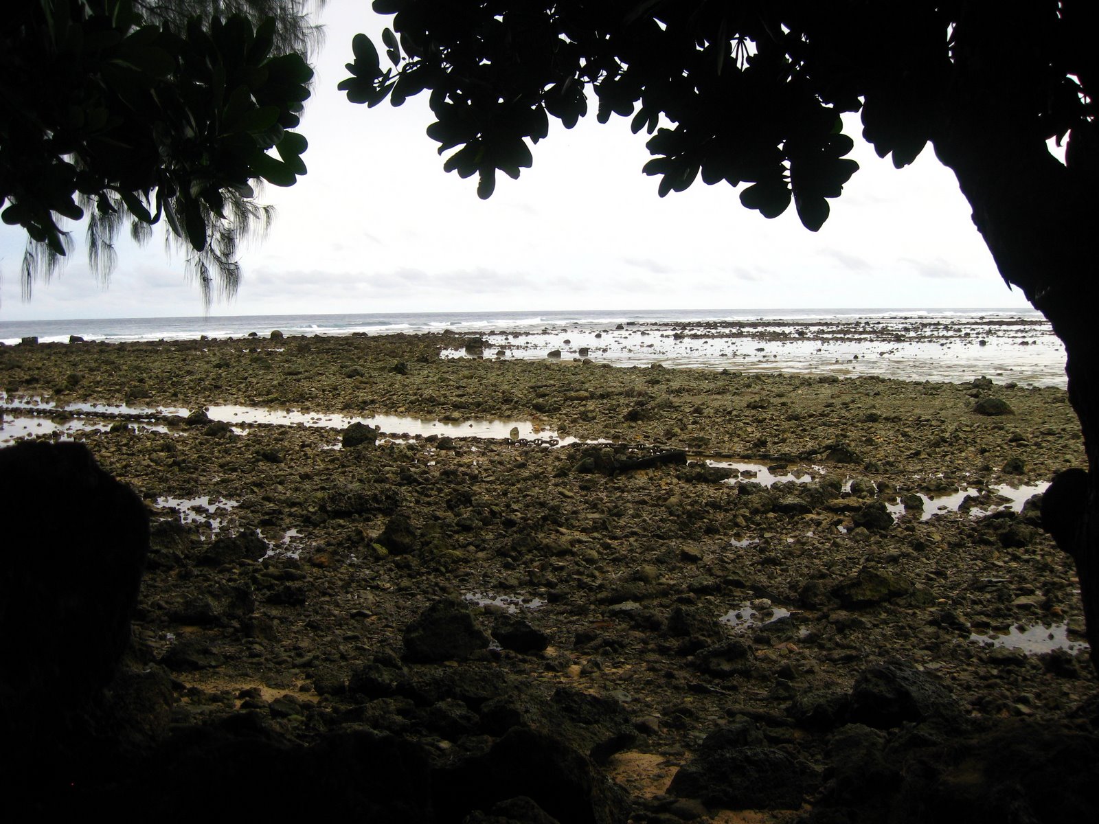 [IMG_1525.JPG]