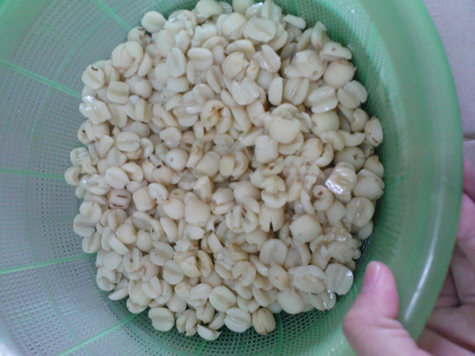 [DSC02121.JPG]