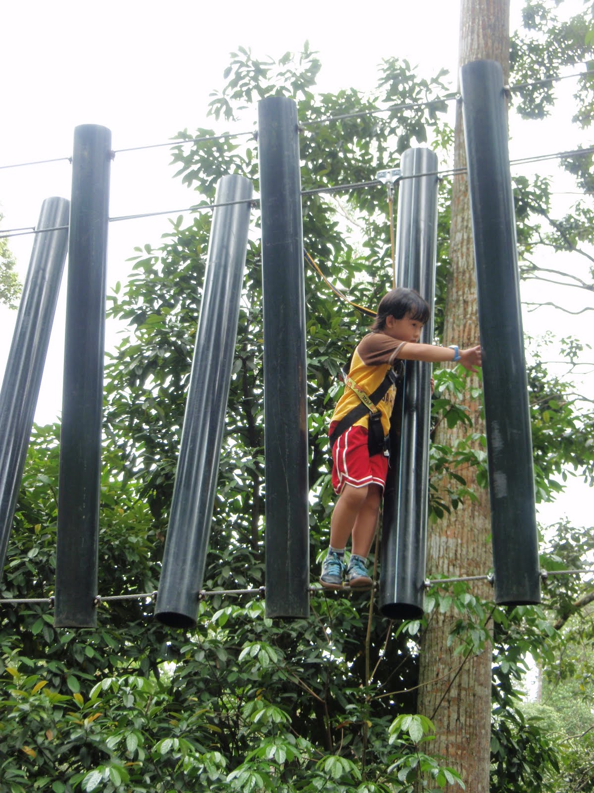 [PC201180.JPG]