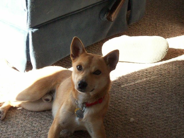 [100_0403_0376.jpg]