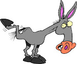 The Digital Donkey