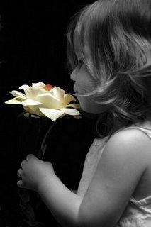 ������ ���� ������ �� ���� ������