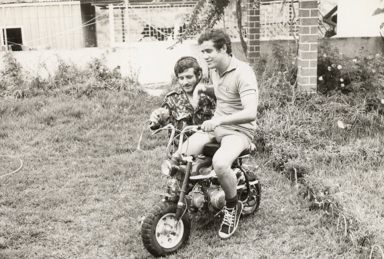 [Monteirocarmona.bmp]