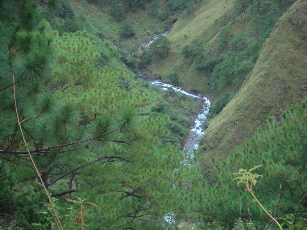 [DSC04536.JPG]