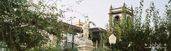 [F1010017a.JPG]