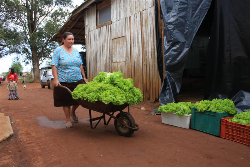 [AGRICULTURA.jpg]