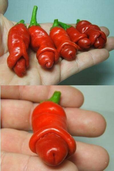 peppers..jpg