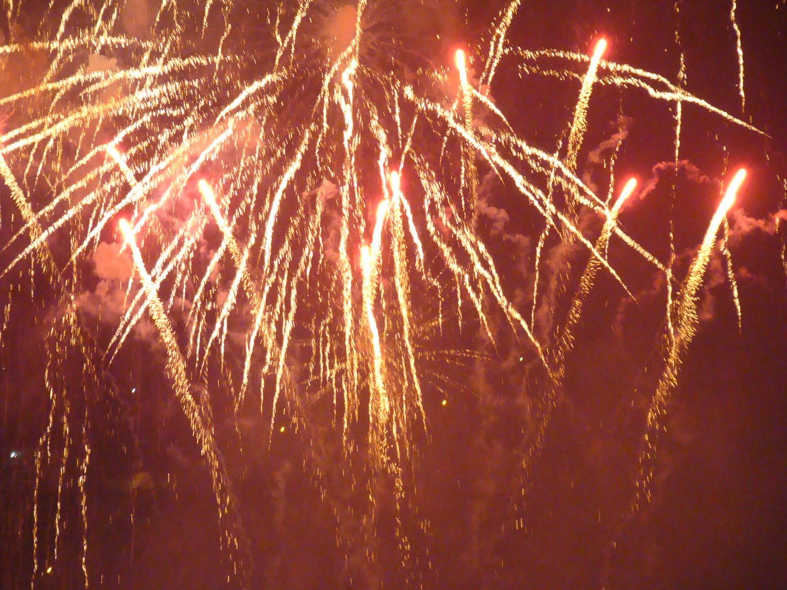 [31-12-2009+(149).JPG]