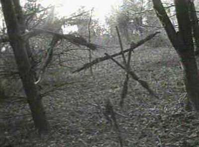 blair-witch-project-photo2.jpg