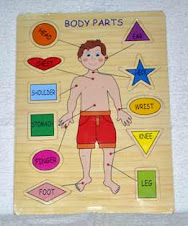 puzzle anatomi tubuh